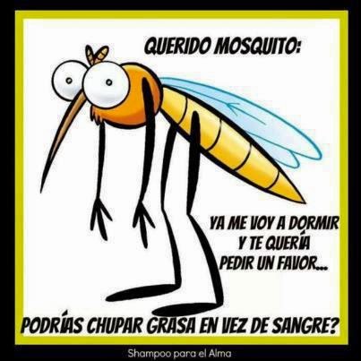 querido+mosquito.jpg