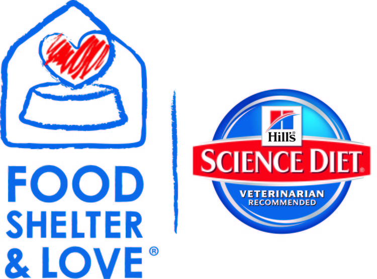 Pet Blog By Bocci Bocci's Beefs Hill's FoodShelterLove Program