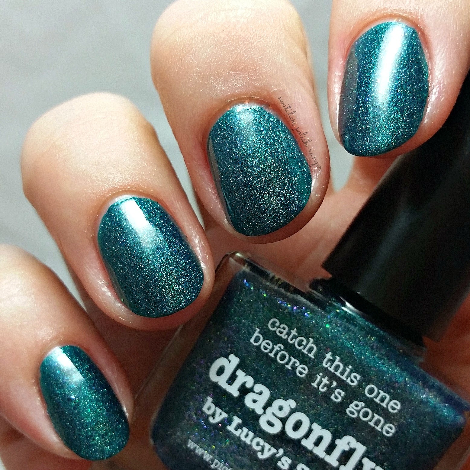 picture polish dragonfly