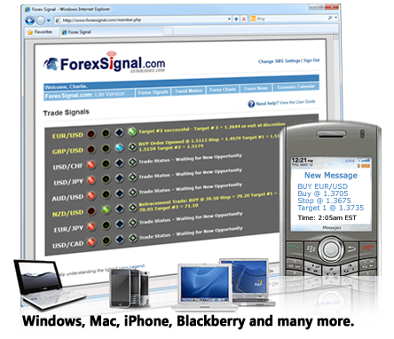 top 10 forex signals provider