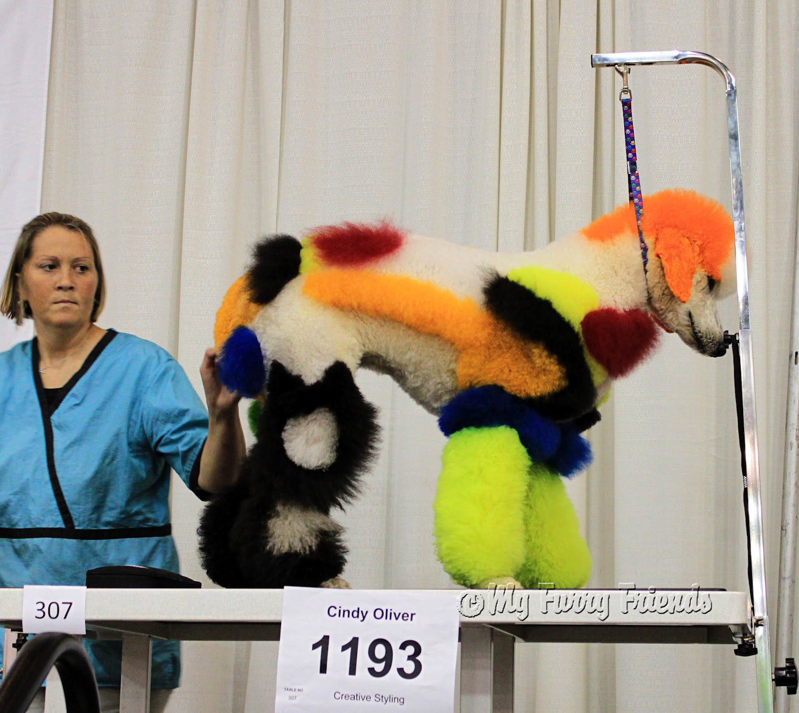 Pet Grooming The Good, The Bad, & The Furry Hershey Creative Grooming