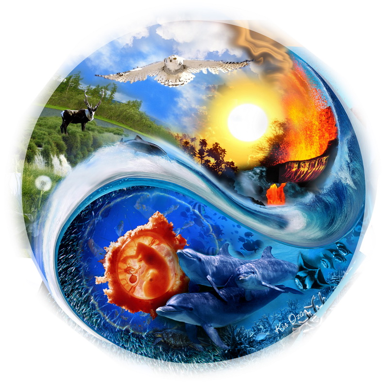 Media Image