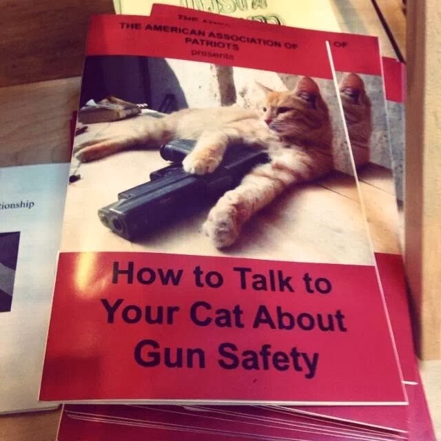 How to talk to your cat about gun safety Best of funny memes