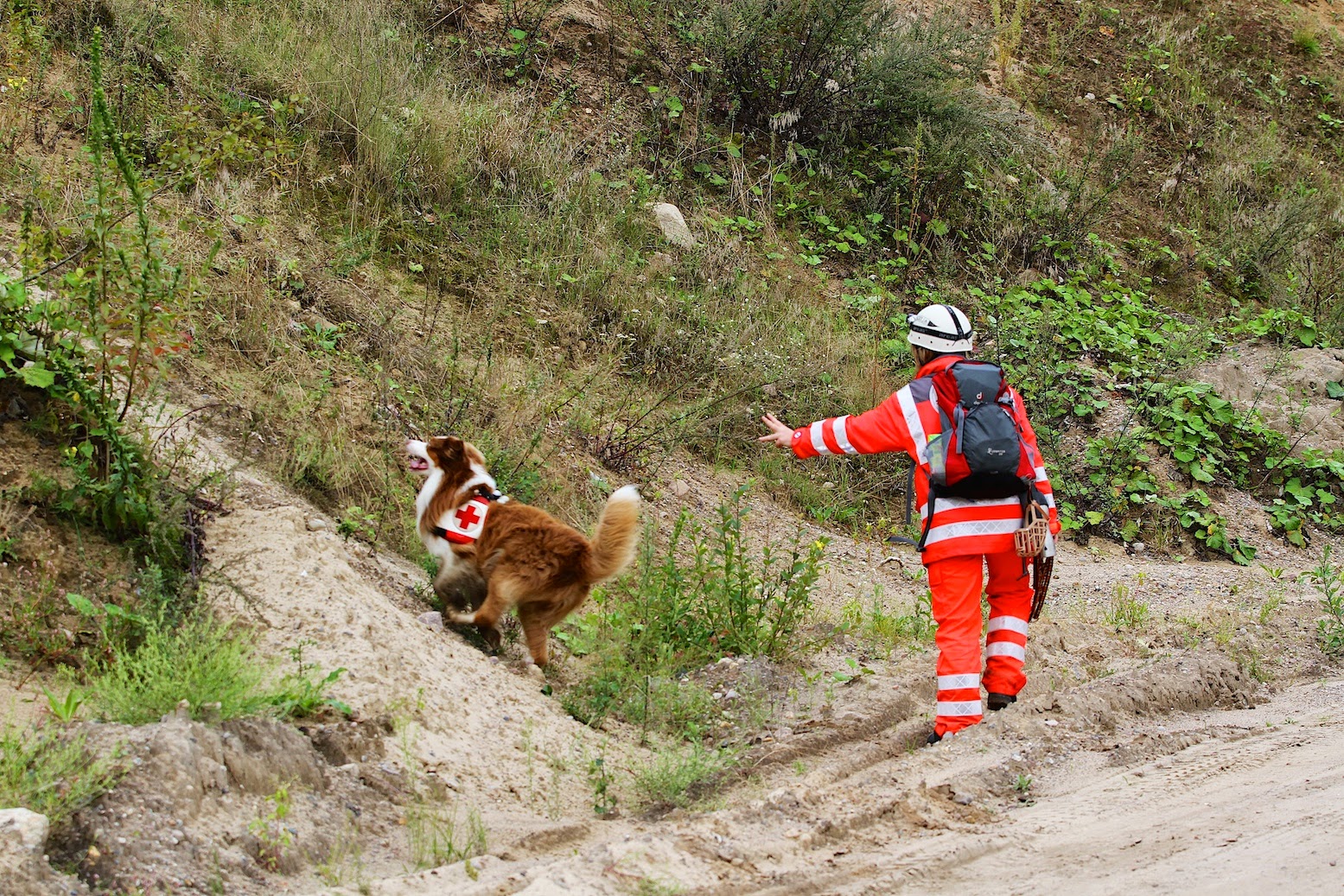 36 Stunden beim Rescue Camp Barnim 2014 - Hier ein ausführlicher Lagebericht! 148 Bernau LIVE - Dein Stadtmagazin für Bernau bei Berlin