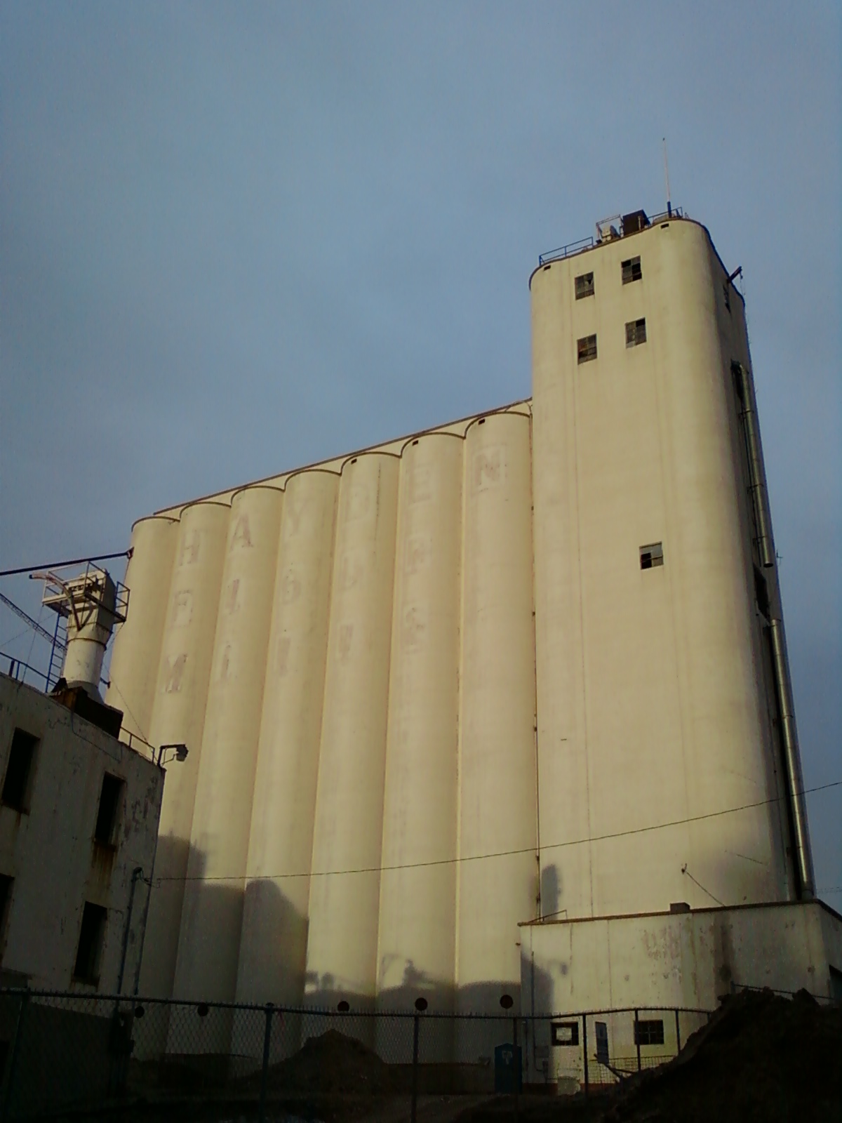 Past, Imaginary, and Future Cat at Hayden Flour Mill in Tempe, Arizona