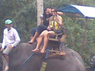 Elephant Safari ride