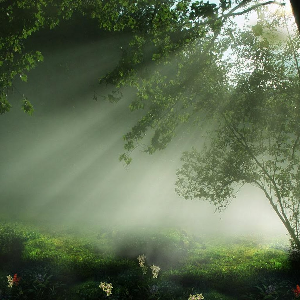 Images Of Nature Beauty Images Of Nature Beauty