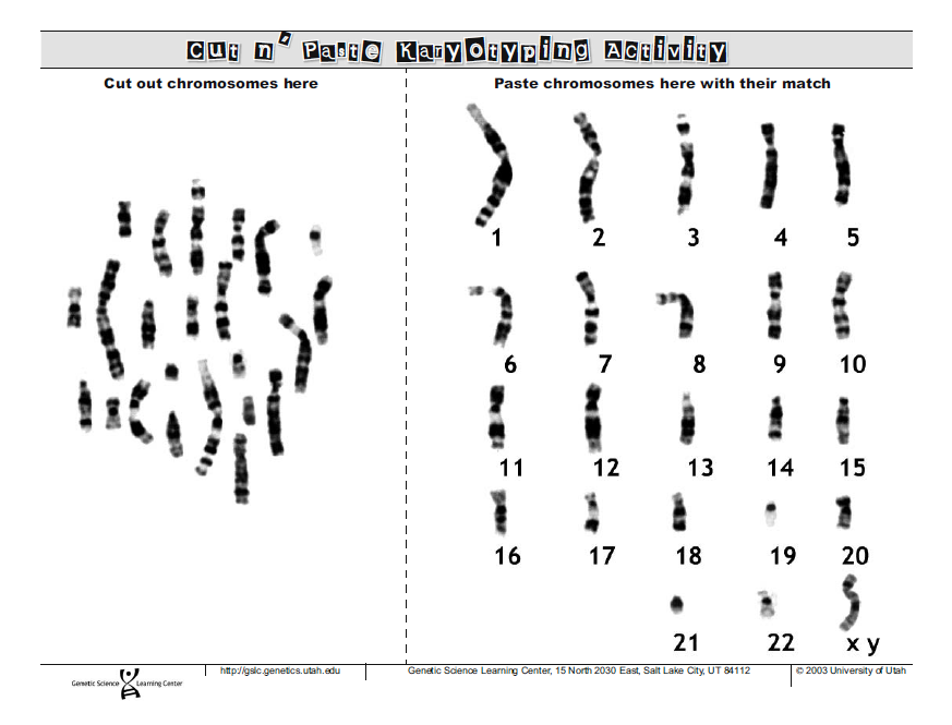 Mariano A. Aure, Jr.
