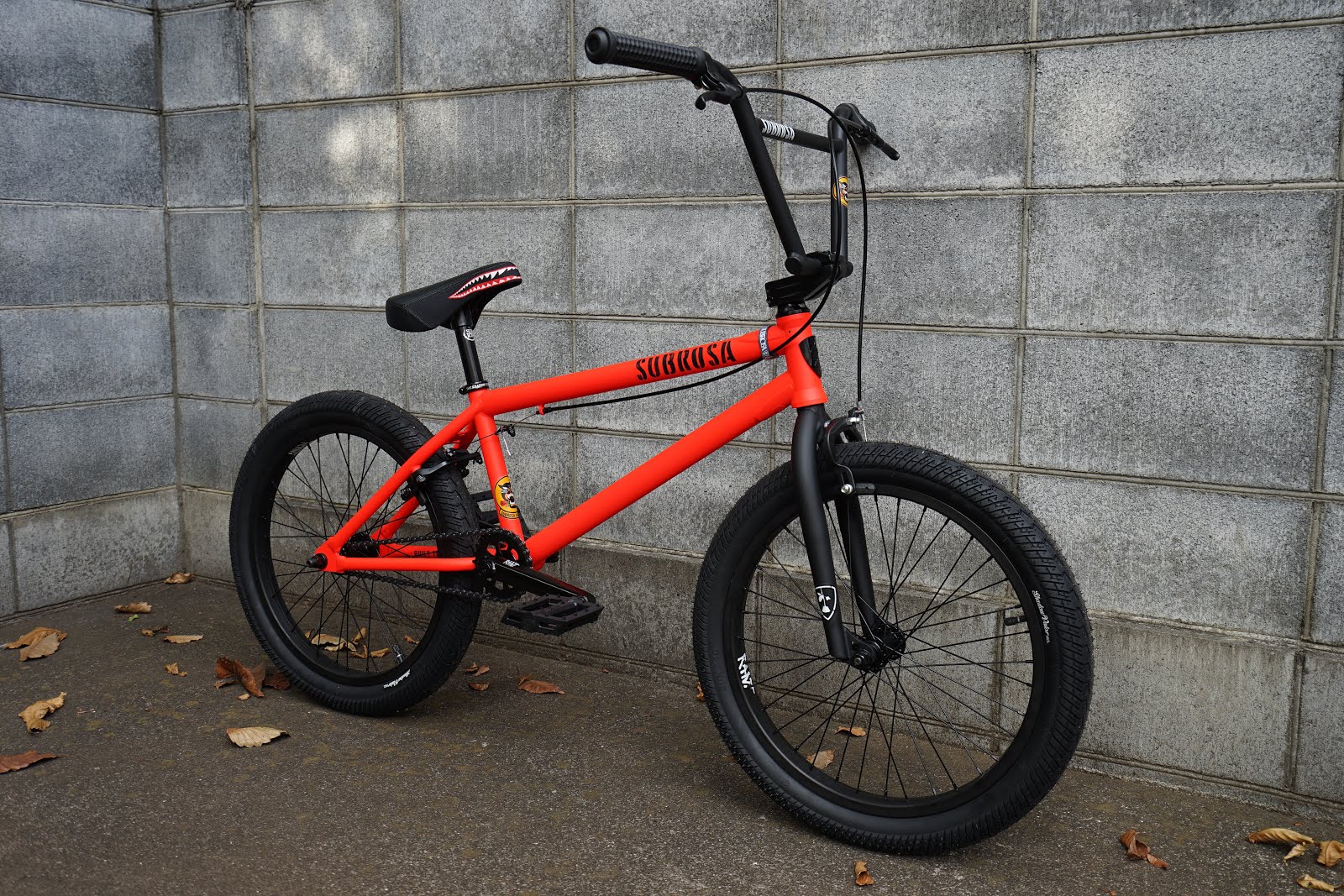 subrosa salvador 2019