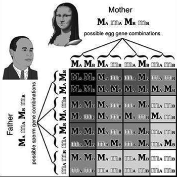 Blood Quantum Chart