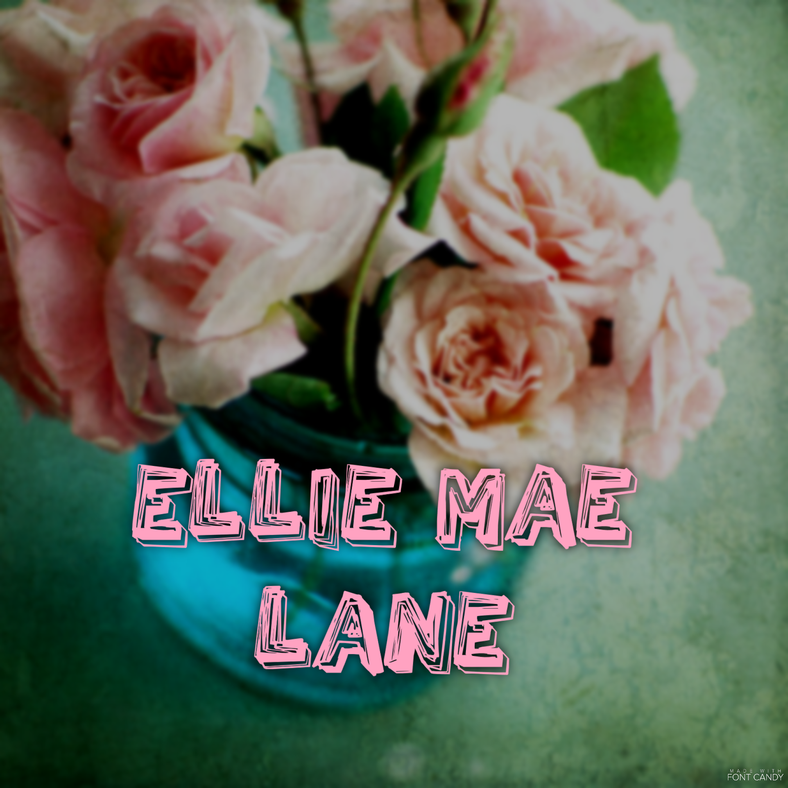 EllieMae Lane
