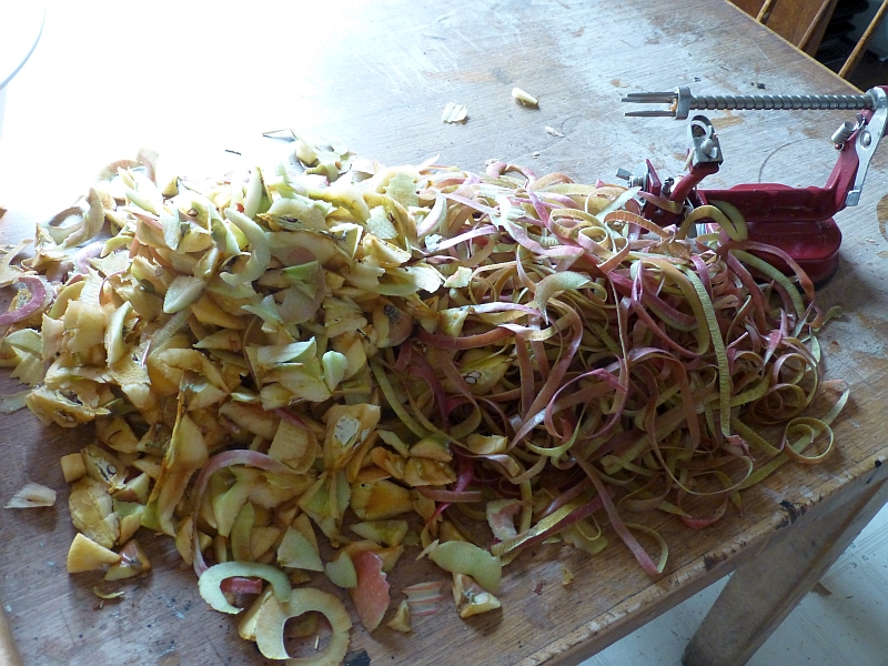 Rural Revolution Making fruit scrap vinegar