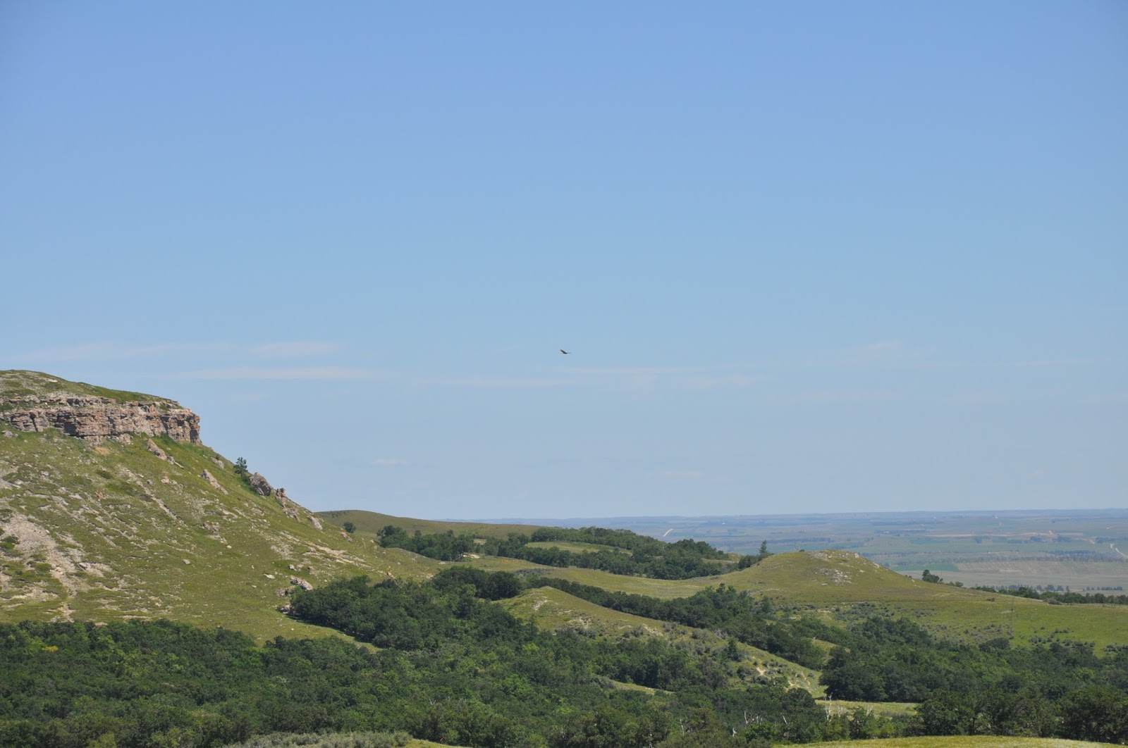 The First Scout Mystic Warriors Of The High Plains The Remains Of Killdeer Mountain