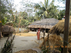 Typical common village house in Pakhirala village on Gosaba Island in the Sunderbans.