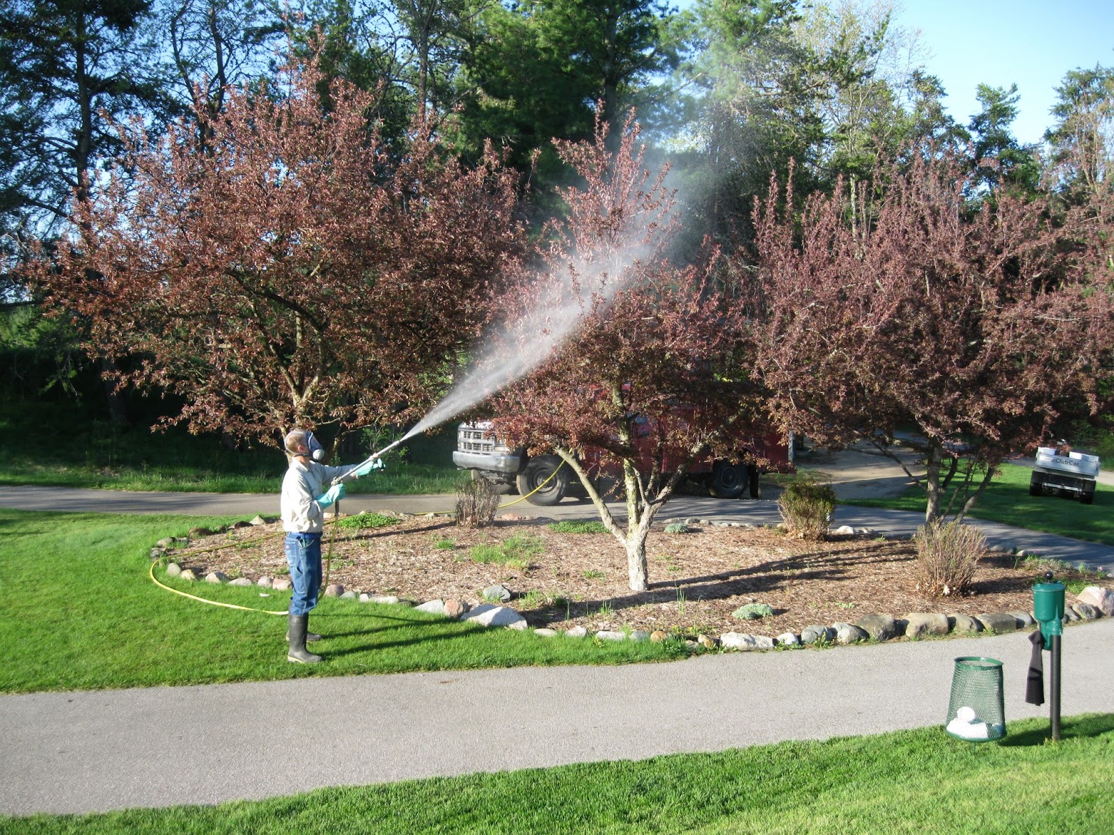 TCGCC Grounds Blog Apple Scab Spray