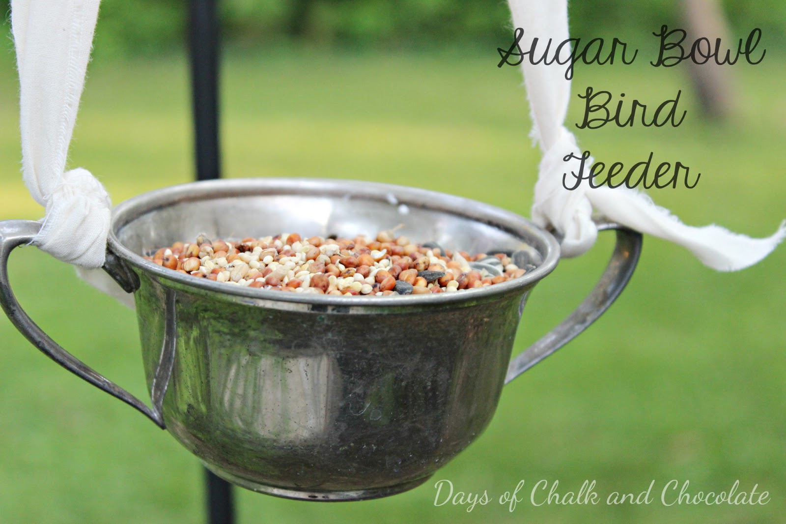Sugar Bowl Bird Feeder (Plus More DIY Feeders!) Days of Chalk and