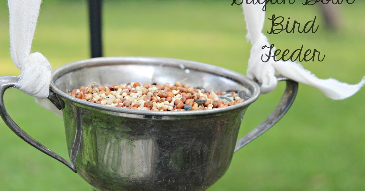 Sugar Bowl Bird Feeder (Plus More DIY Feeders!) Days of Chalk and