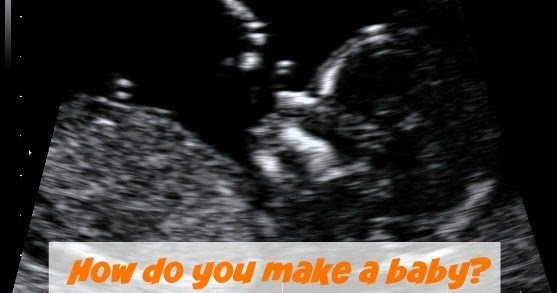 Finding Myself Young: How do you make a baby?