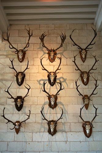 Antique Roe Deer Antler Mounts