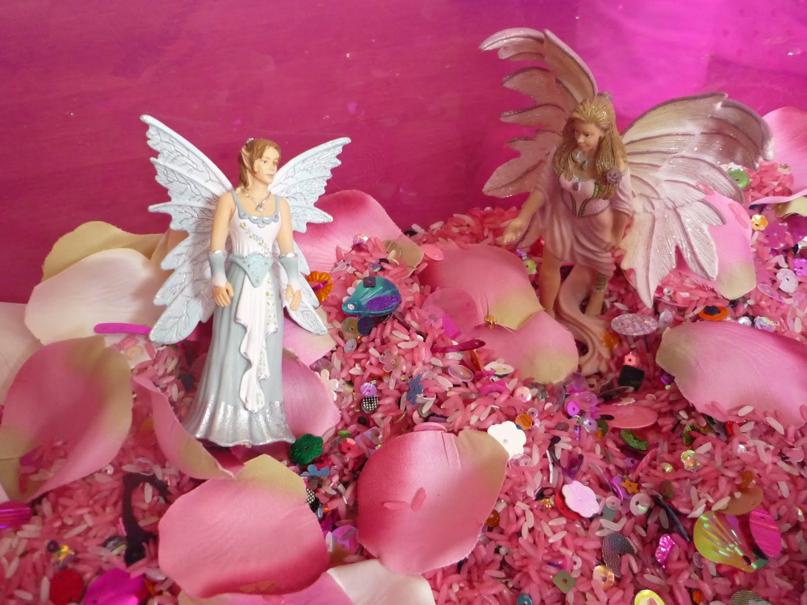 Mughal Garden Rashtrapati Bhavan