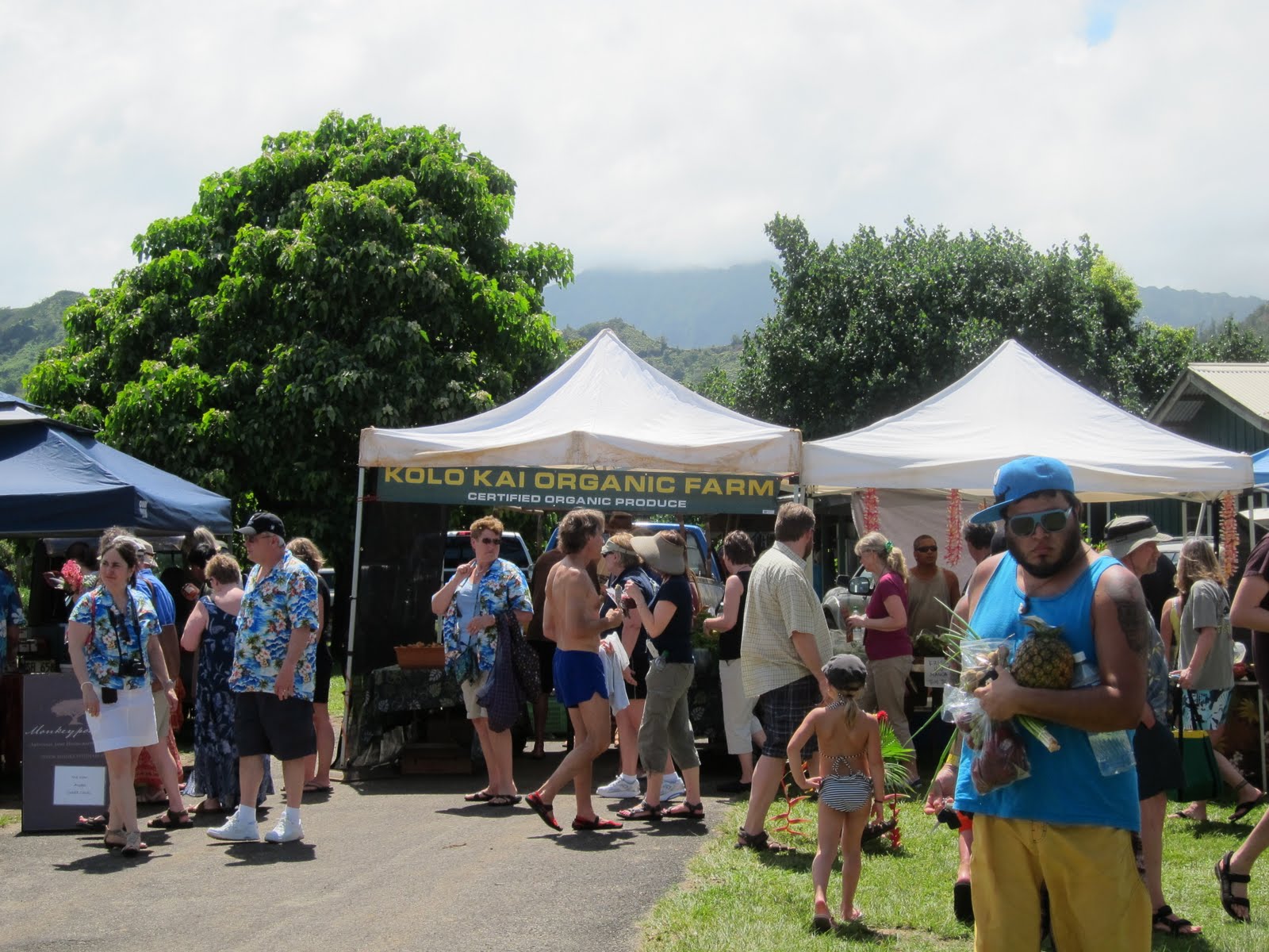 Eat Drink Be Happy Local, Fresh and Organic...Kauai