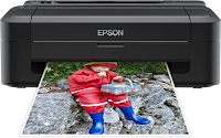 Epson Expression Home XP-30