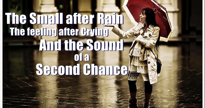 Amazing Facts and Motivational Quotes.: Best Quote on Feeling with Image