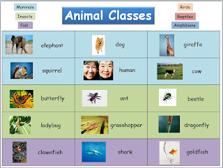 Free Animal Classes Reference Chart - Primary Inspiration