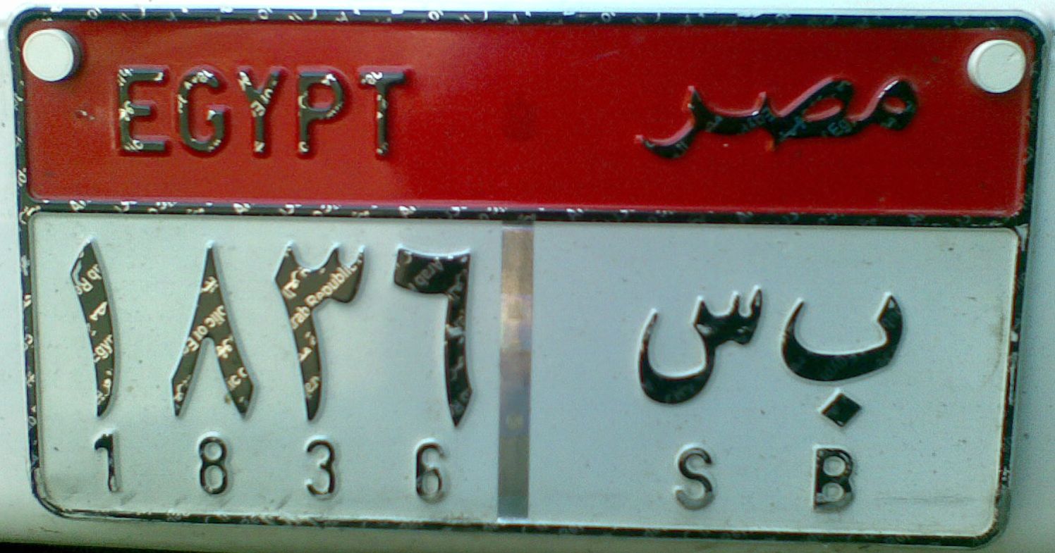 Mel Fulbright in Egypt September 2011