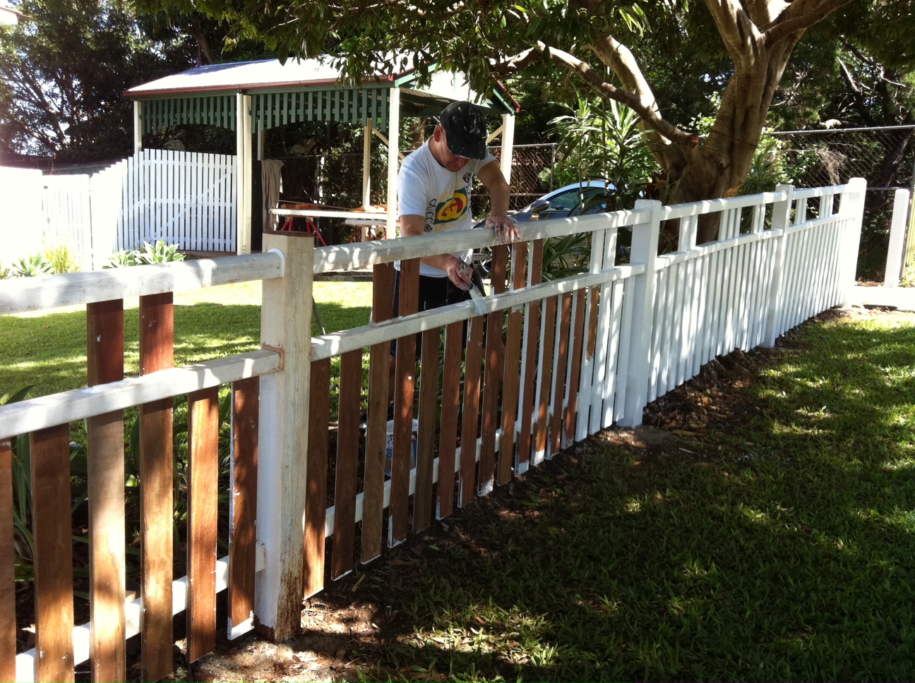 Fun and VJs Fence painting