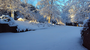 The driveway - after 11 inches