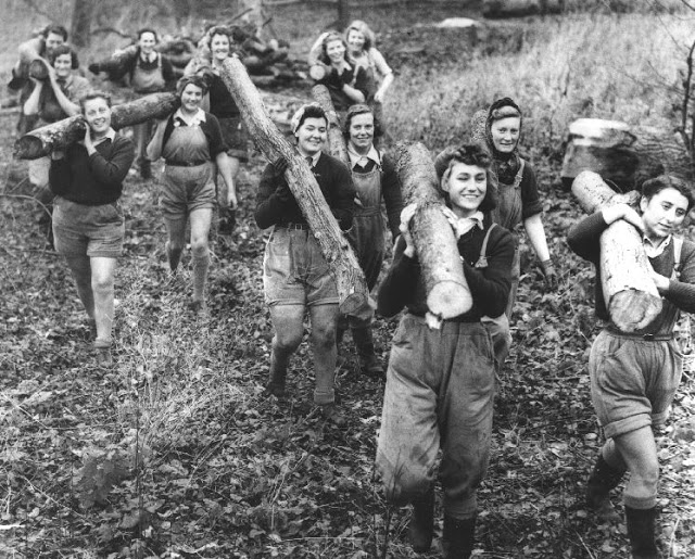 Lumber Jills, Unsung Heroines of WWII by ALEXANDRA DAVIS - 9780807547953 -  Booktopia