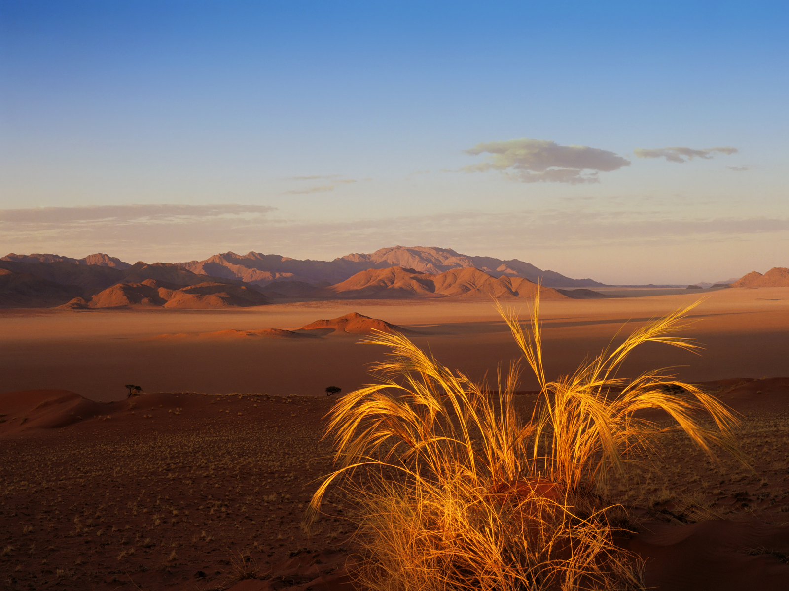 http://2.bp.blogspot.com/-A5WbOoiTOZI/UF3Z6H4uAAI/AAAAAAAABag/fiacaBJo0AE/s1600/blue-sky-desert-wall-inkbluesky.png