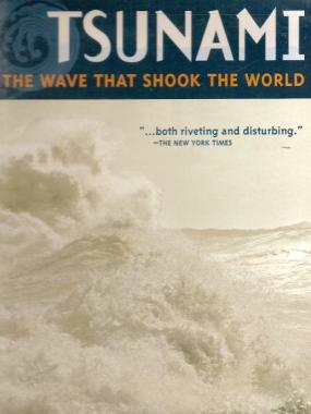 Documentary about the 2004 tsunami. Heartbreaking footage: