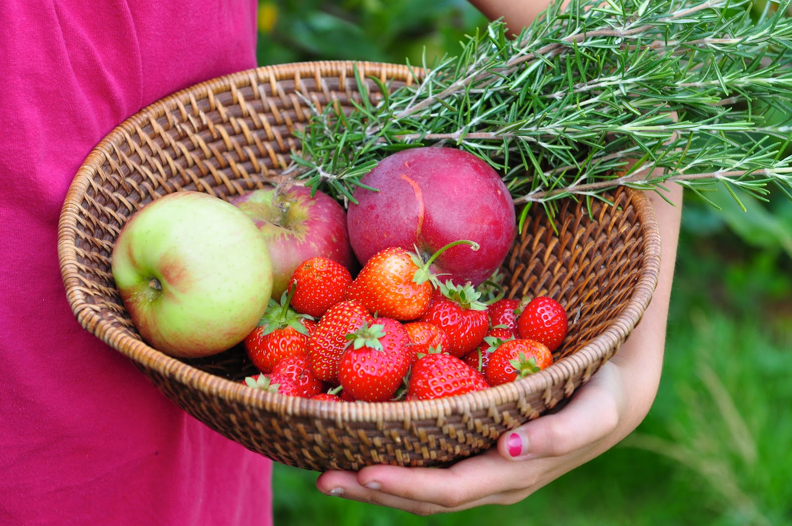 Nourishing Meals® Simple Ways to Preserve Fruit