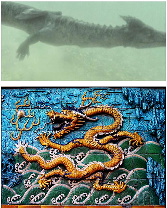 Dunia Seram: Adakah Naga Sebenarnya Wujud?