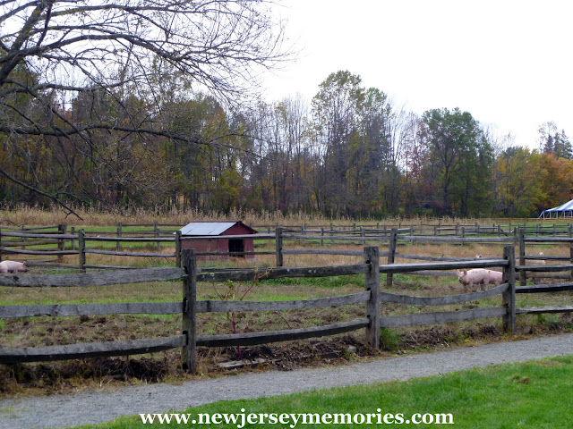 Fosterfields Living Historical Farm, Morristown, New Jersey