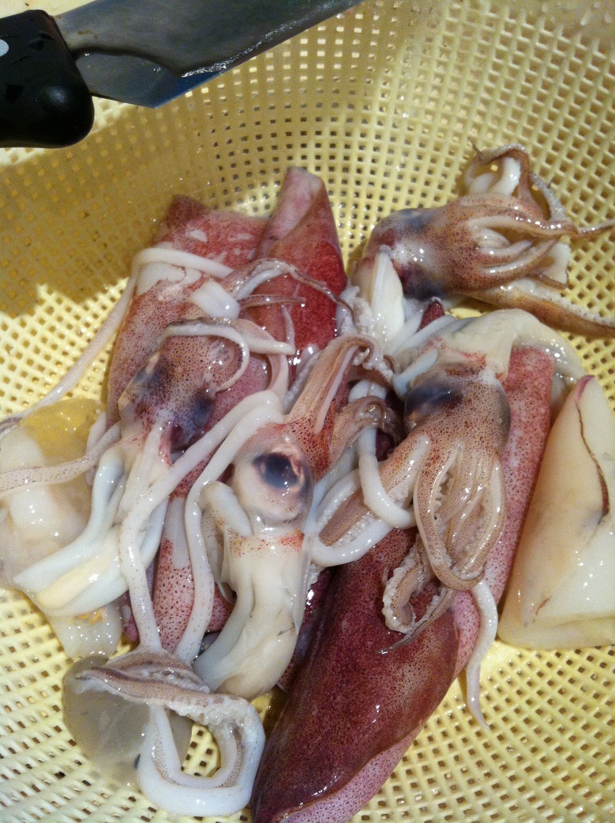 NenekMummy Keuken Squid in Black Ink and Cauliflower in turmeric powder