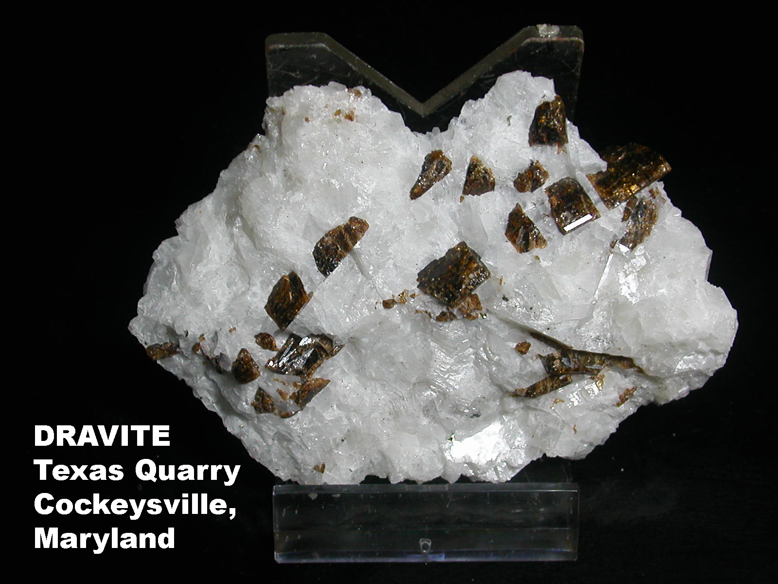 Mineral Bliss Maryland Minerals D to L
