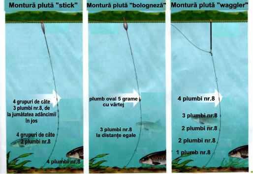 Pe Patul De Nada Cleni La Pluta Pe Rauri Repezi