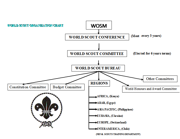 Scout Chart