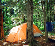 Trees and Tents