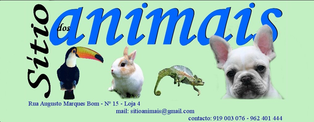 SITIO DOS ANIMAIS