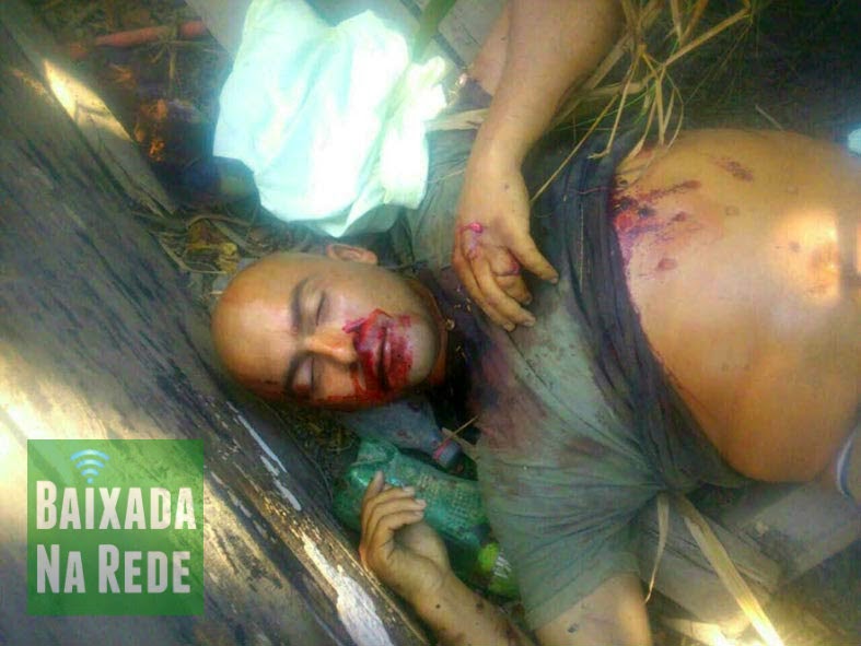 download the numerical solution of systems of