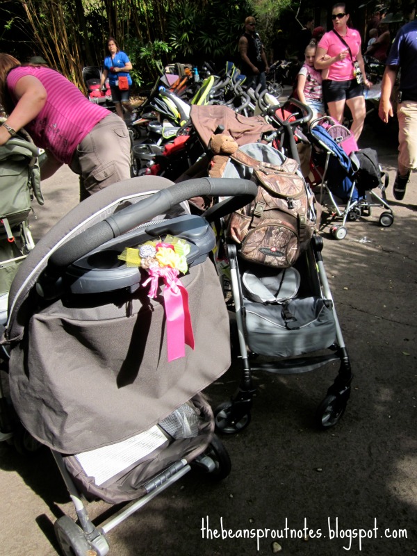 stroller identification disney