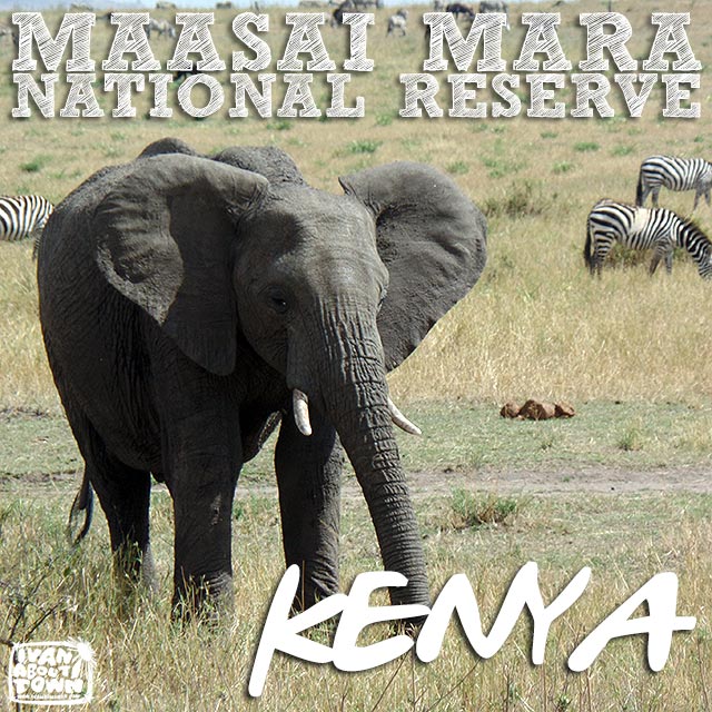 Kenyas Maasai Mara The Must See Safari Of A Lifetime - m3weson