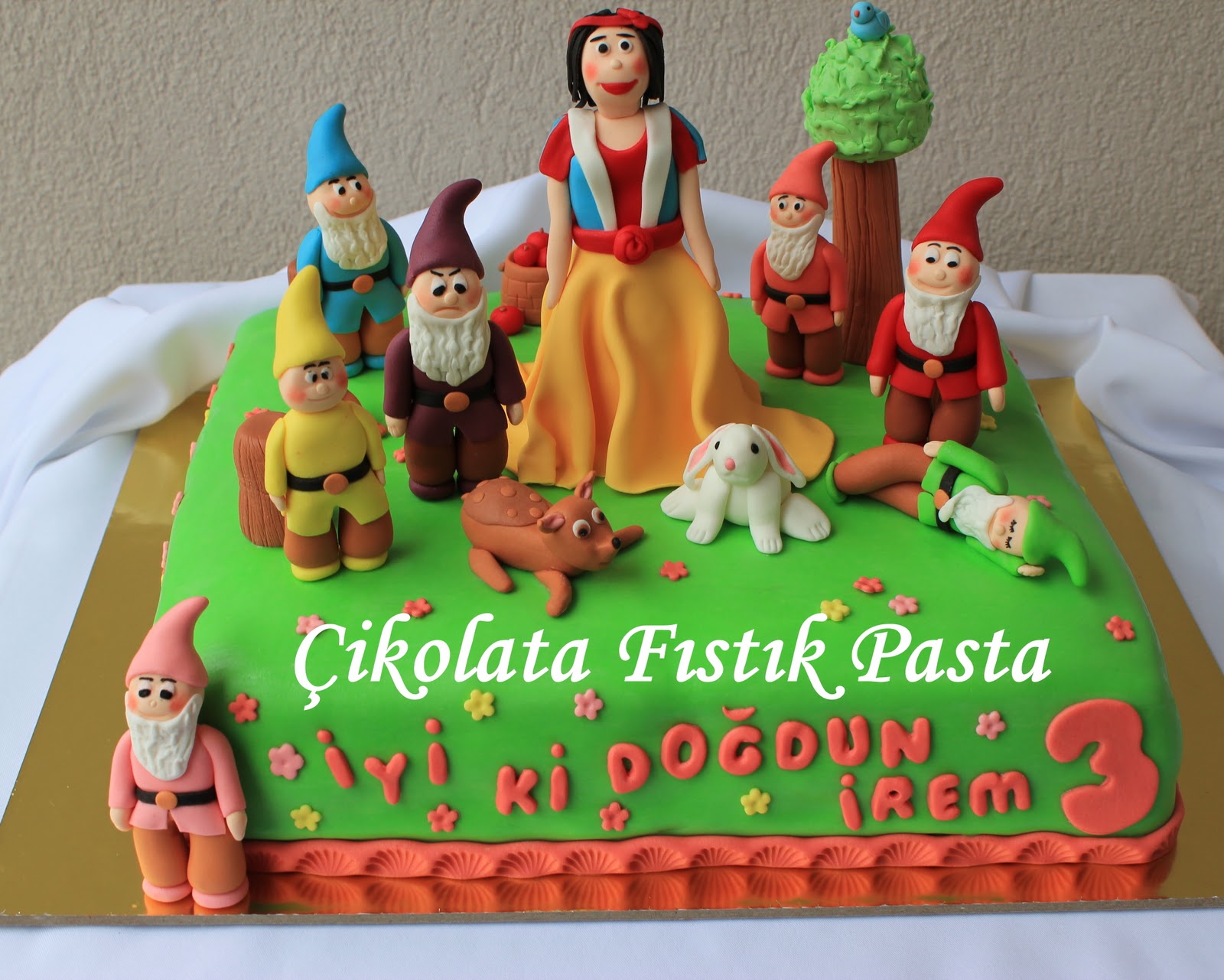 Selmin Uğrar Pamuk Prenses ve Yedi Cüceler Pastası 1