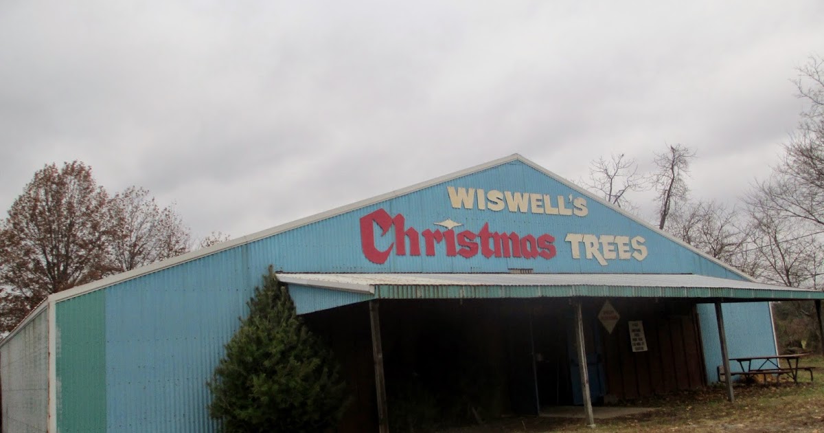 Experiencing Illinois Wisewell's Christmas Tree Farm