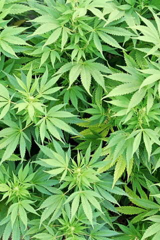 iphone wallpaper background