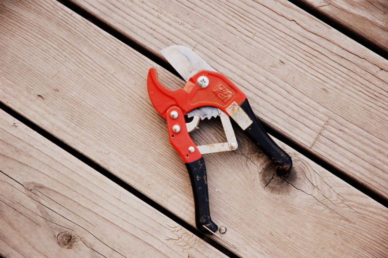 restlessrisa MARSHMALLOW GUN!